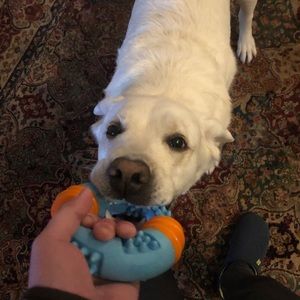 Meet your Posher, Eric